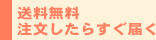 送料無料 注文したらすぐ届く